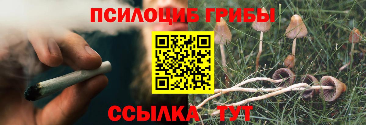 Рославль  Галлюциногенные грибы прущие грибы  Вход с VPN 