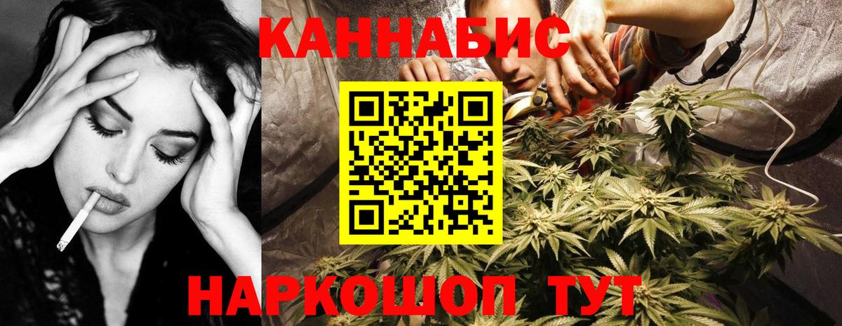 Канабис OG Kush  Канабис Bruce Banner  Марихуана гибрид  Вход с VPN  Конопля OG Kush  Рославль 